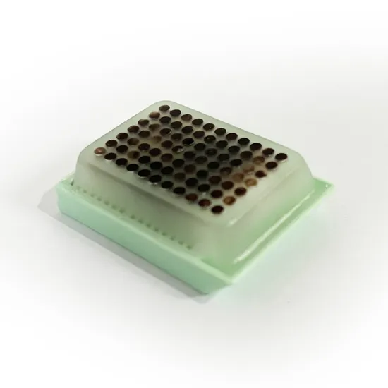 Supplies médicales jetables Bloc de microréseaux de tissu utilisé pour l'examen de matériel de recherche scientifique