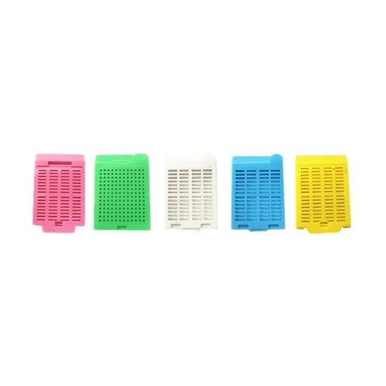 OEM ODM Boîte à cassette d'intégration de tissus personnalisés utilisé pour les techniques de coloration histologique