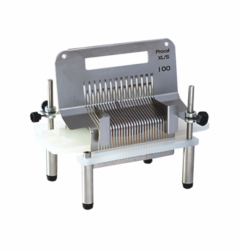 Pince à biopsie pour grands tissus